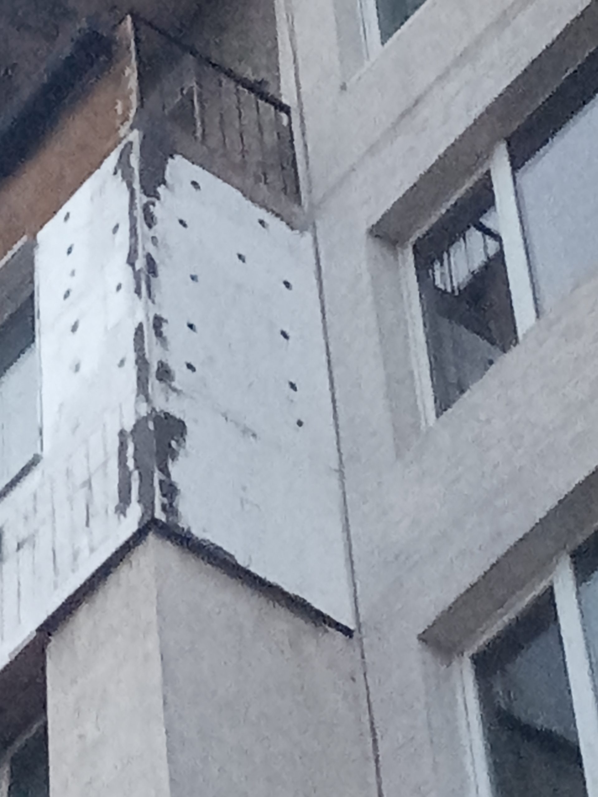 toploizolacia na apartament s fasaden stiropor i silikonova mazilka